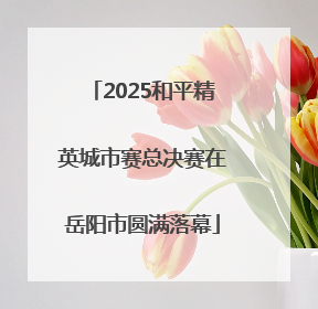 2025和平精英城市赛总决赛在岳阳市圆满落幕