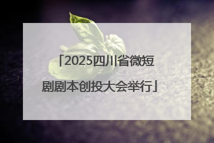 2025四川省微短剧剧本创投大会举行