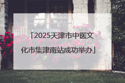 2025天津市中医文化市集津南站成功举办