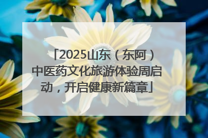 2025山东（东阿）中医药文化旅游体验周启动，开启健康新篇章