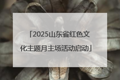 2025山东省红色文化主题月主场活动启动