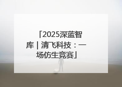 2025深蓝智库｜清飞科技：一场仿生竞赛