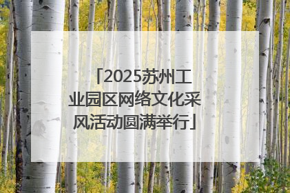 2025苏州工业园区网络文化采风活动圆满举行