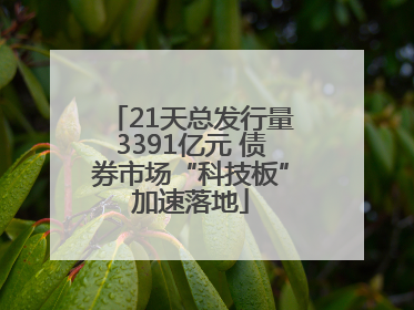 21天总发行量3391亿元 债券市场“科技板”加速落地