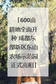 600亩耕地全面开种 成都东部新区东山农场示范园正式亮相