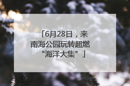 6月28日，来南海公园玩转超燃 “海洋大集”
