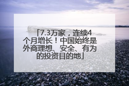 7.3万家，连续4个月增长！中国始终是外商理想、安全、有为的投资目的地