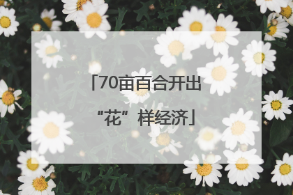 70亩百合开出“花”样经济