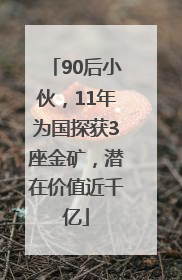 90后小伙，11年为国探获3座金矿，潜在价值近千亿