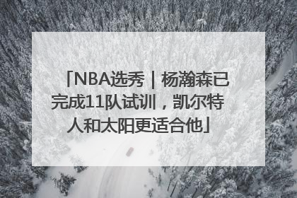 NBA选秀｜杨瀚森已完成11队试训，凯尔特人和太阳更适合他
