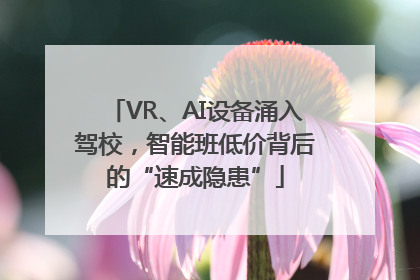 VR、AI设备涌入驾校，智能班低价背后的“速成隐患”